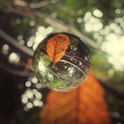 marblecam by すゞらん
