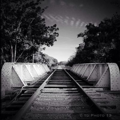 Train Tracks by t_h_e_d_a_v_i_d