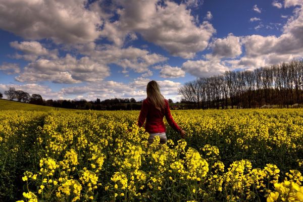 Nature at Ludlow by Robert Rivett