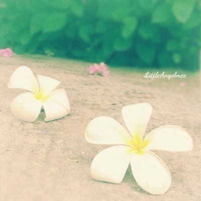 thailand_allshots by Littleangelmee