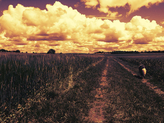 on the way home at Spielplatz Mötzingen by Dr. No