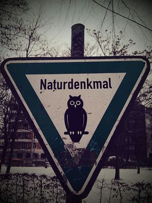 Volkspark Friedrichshain in Berlin by Gherda Quadrakey