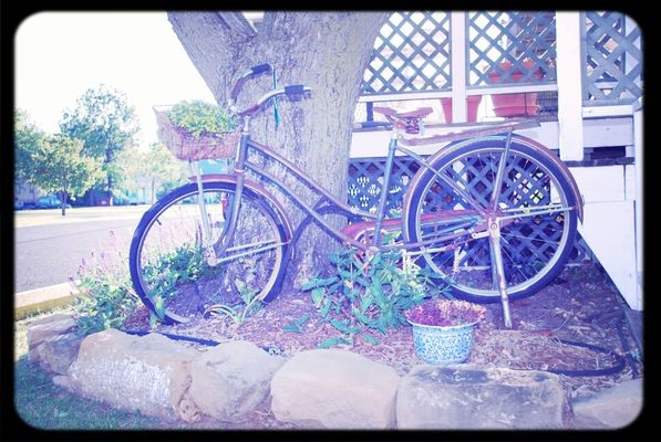 bike at Raintree Apt by Dawn