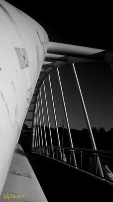blackandwhite by alpoher