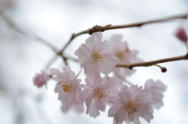  by Takashi Kato