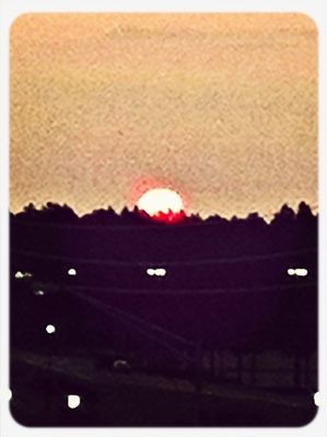 Great views in Jacksonville by Teri Meigs