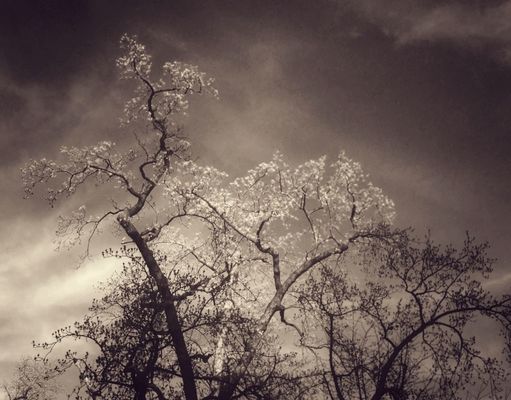 AMPt_community in Washington, D. C. by Emily Reid