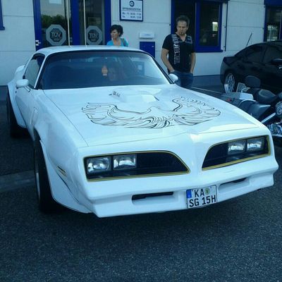 Firebird in Karlsruhe by Ben