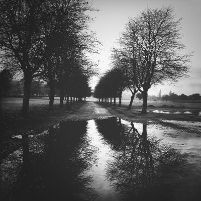  by Seamus Murphy