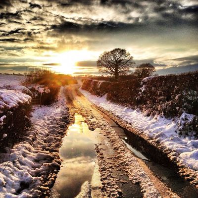 snow by Jeff Slade