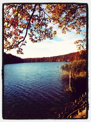 Autumn in Berlin by Malena Dagher Haddad