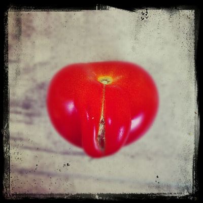 AMPt - Expectation by FrauSchlumpf
