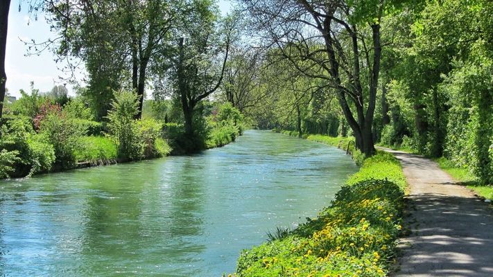 Nature by springtime