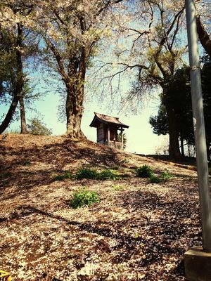 Hanging out at 牛久市浅間神社 by Rieko