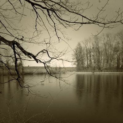 Nature at switzerland by Pirmin Föllmi (iphotography.ch)