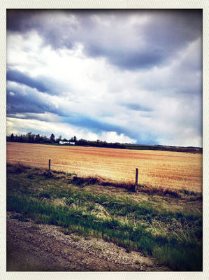 Scenery Shots by rokofficial_