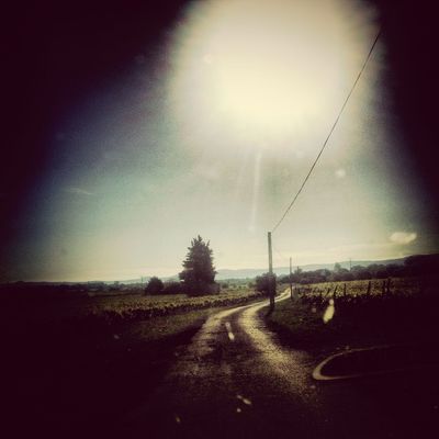 on the road at Clermont l'Herault by DEXTER