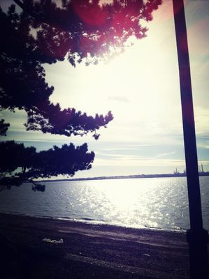 Taking a walk at Royal Victoria Country Park by Shane Dyson
