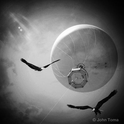 Riding roller coasters at San Diego Wild Animal Park Conservation Carousel by John Toma