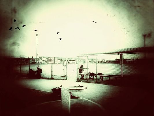 time to go home by ༻☠m♰uk♰n☠༺