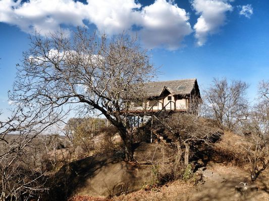 adventure at Tarangire National Park by Claude Bazzucchi