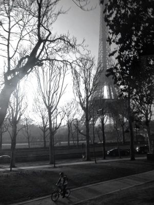 Landscape_Collection in Paris by Steph