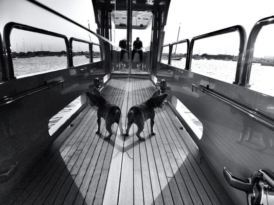 blackandwhite in Nantucket by Selenaballerina