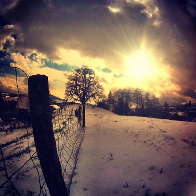 Nature by el_bartho