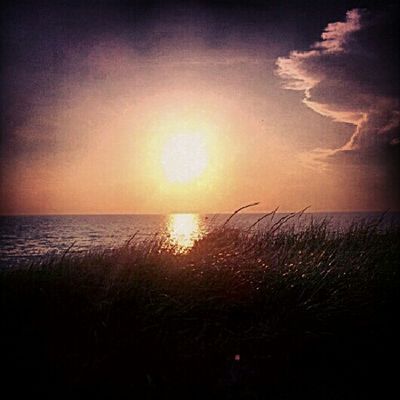 Provincetown by stan homato 
