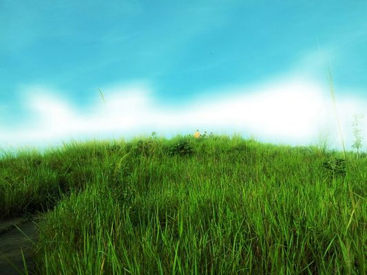 at Bukit Broga (Hill) by Daniel Ycs