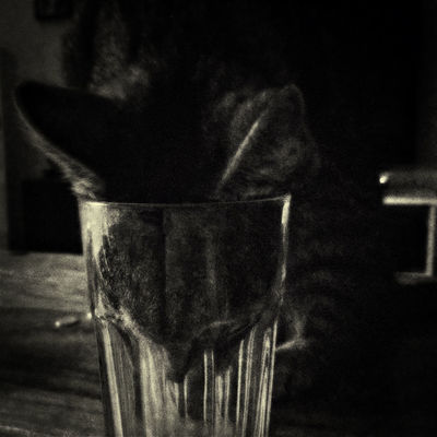 blackandwhite at Bennin by Frankson