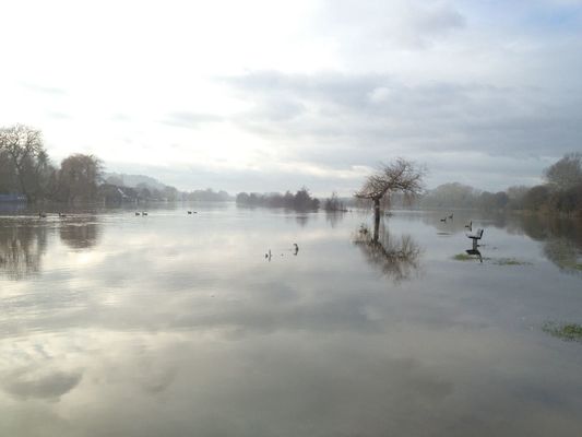 at Bourne End Marina by Peter Read