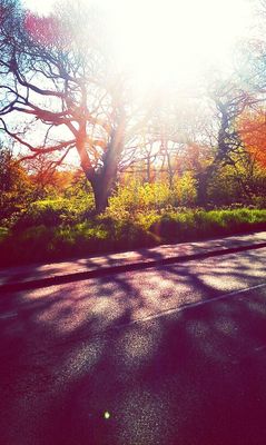 good morning at hampstead Heath by Ruth Vakrat Fogel