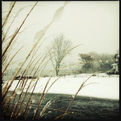 snow at East Quogue by Constance Terry