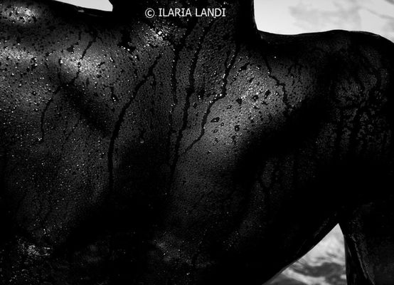 blackandwhite by ilarialandi