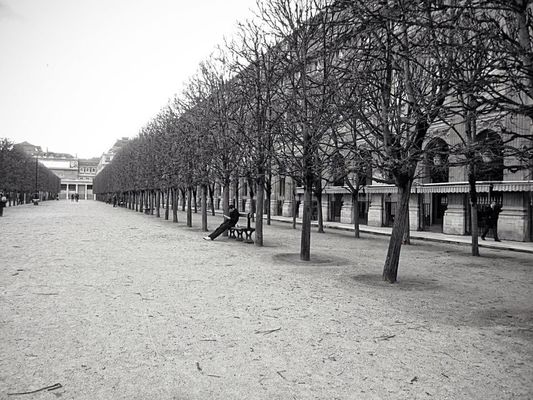 blackandwhite by Marcelle Cestoni