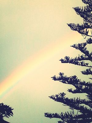 rainbow at Lido Dei Pini by Grazy