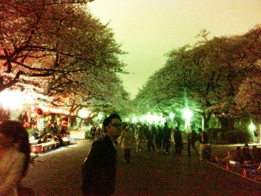 Cherry blossoms at 上野恩賜公園 by AKR