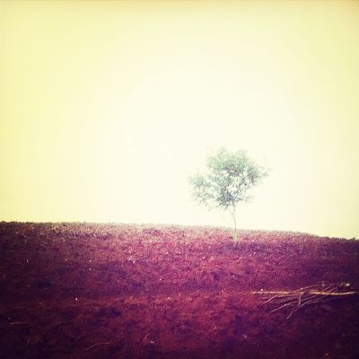  by japlin