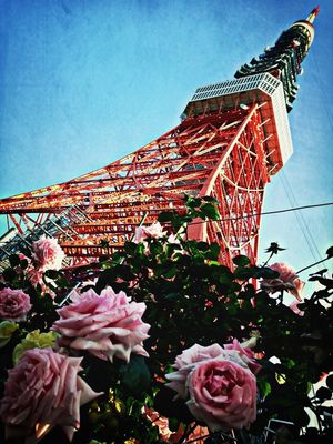Tokyo Tower at 東京タワー (Tokyo Tower) by Melody♪