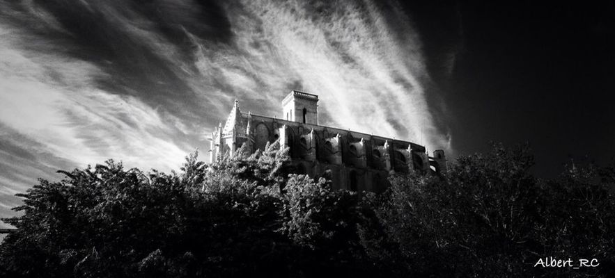 blackandwhite at La Seu by Albert_RC