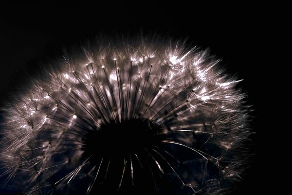 EyeEm Nature Lover by Christophe Friedli