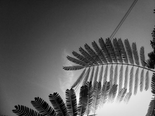 Nature at Hoyo 19 La Garriga by Alfons Teruel