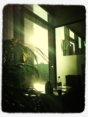office morning at axel springer by Simone Loesch