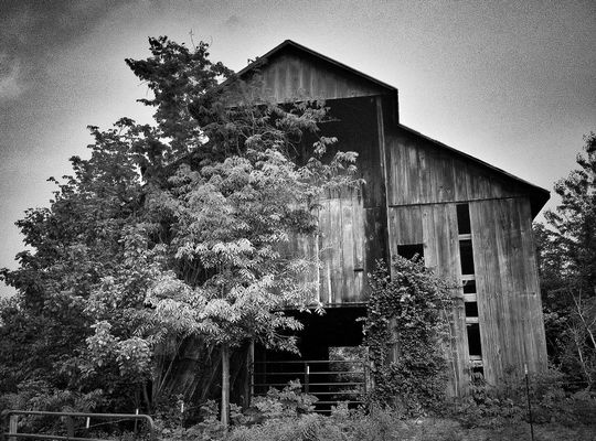 blackandwhite in Shelbyville by Jeremiah