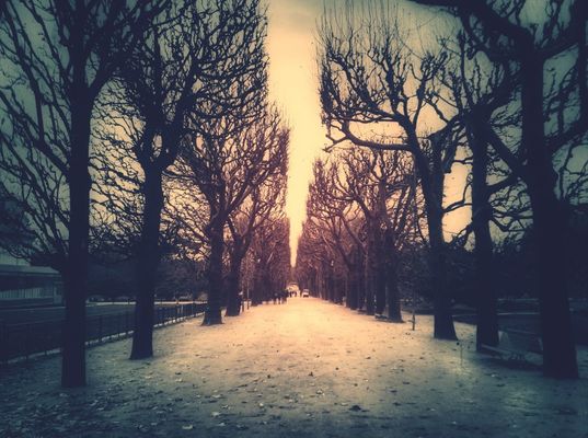 blackandwhite in Paris by Tom Sheard