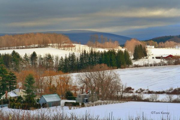 landscape by Toni Kenny
