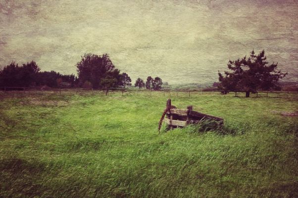 NEM painterly at Petaluma by petyr campos