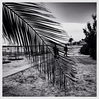 blackandwhite at Bambinopoli by photoviv@ce