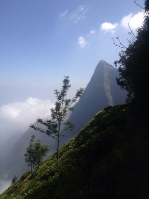 Exploring at Kerala Border Mountain by Sunaal Shetty